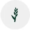 int_thermomix-bimby_TM6-screen-mode-icon_dough_medium